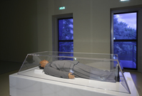 2001_2010\2008.0368a.jpg; 2008.0368; ;